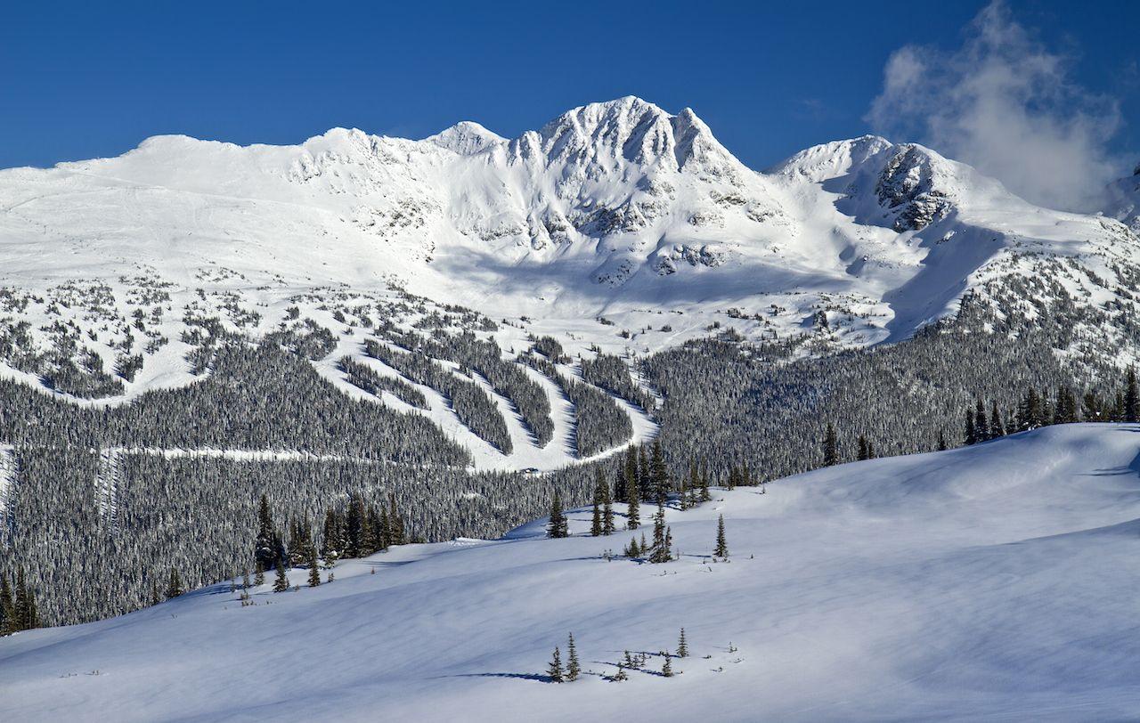 Group cover image