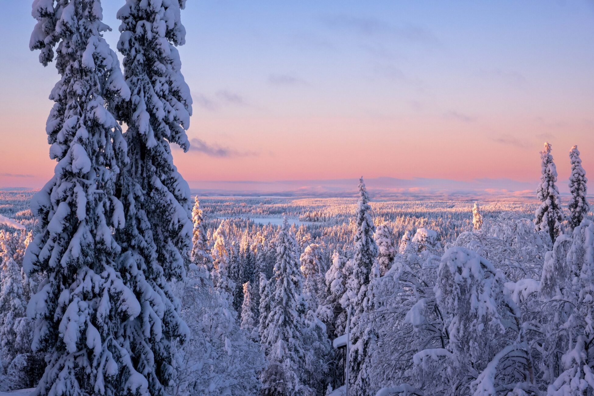 Group cover image