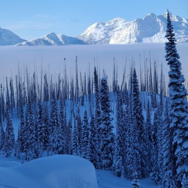 Group logo of Revelstoke